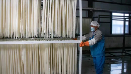 稅務(wù)賦能，非遺“活”起來(lái) 延邊稅務(wù)助力非物質(zhì)文化遺產(chǎn)傳承與發(fā)展